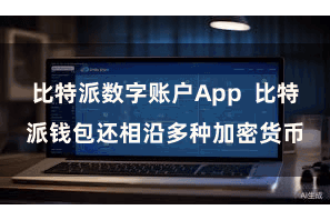 比特派数字账户App 比特派钱包还相沿多种加密货币
