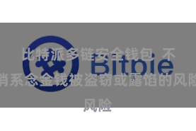 比特派多链安全钱包  不消系念金钱被盗窃或露馅的风险