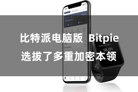 比特派电脑版  Bitpie选拔了多重加密本领