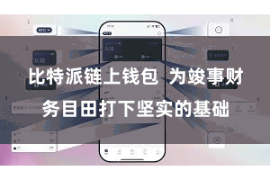 比特派链上钱包  为竣事财务目田打下坚实的基础